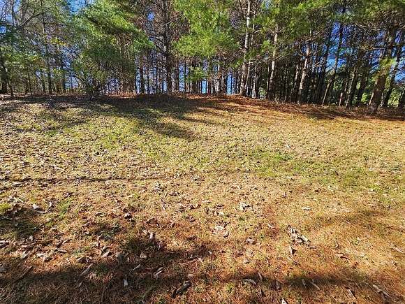 4.958 Acres of Residential Land for Sale in Independence, Virginia