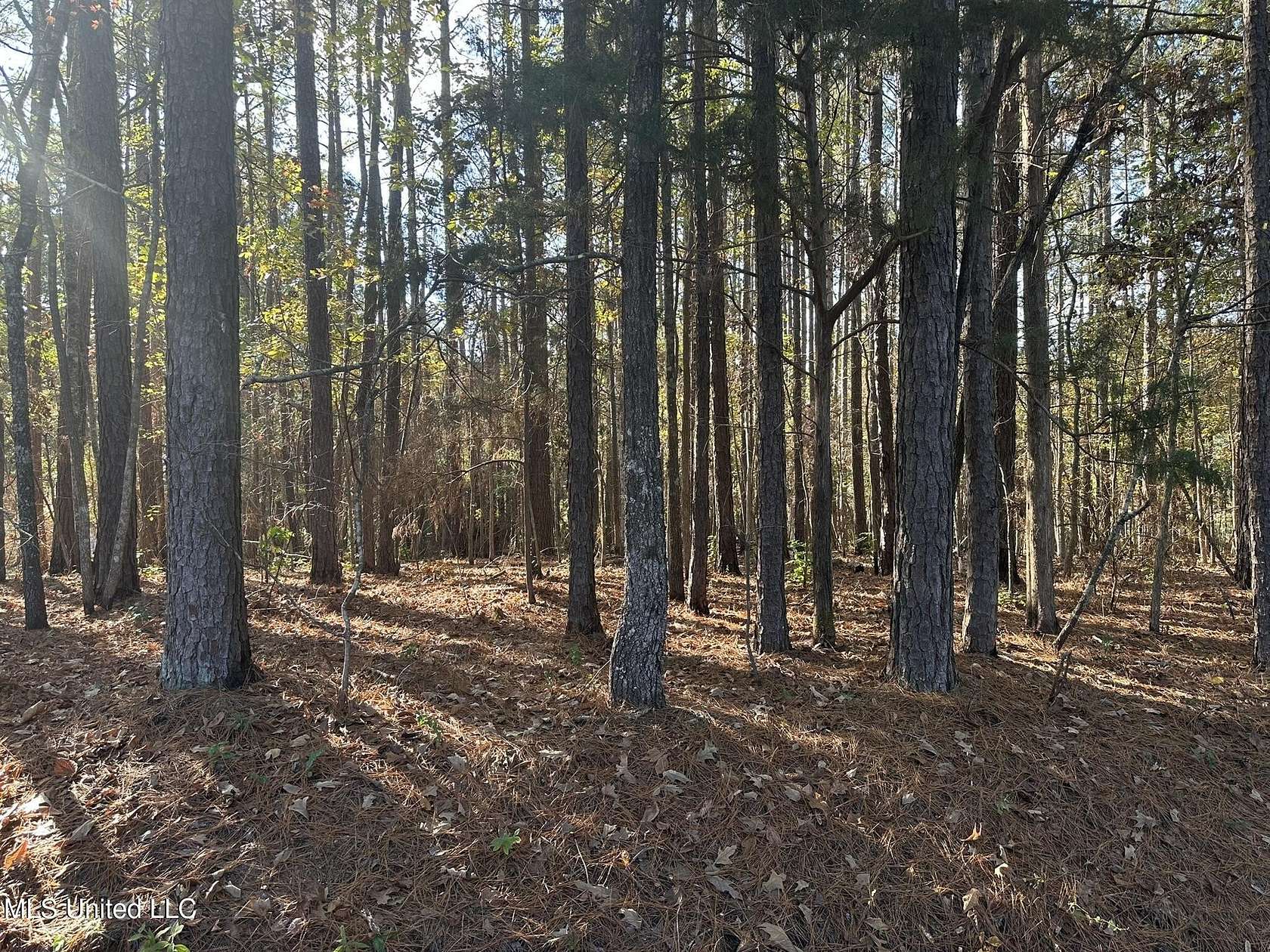 2.5 Acres of Residential Land for Sale in Florence, Mississippi