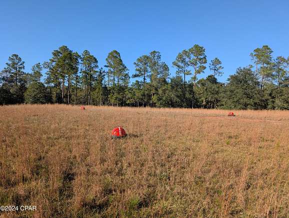 35.2 Acres of Agricultural Land for Sale in Bonifay, Florida