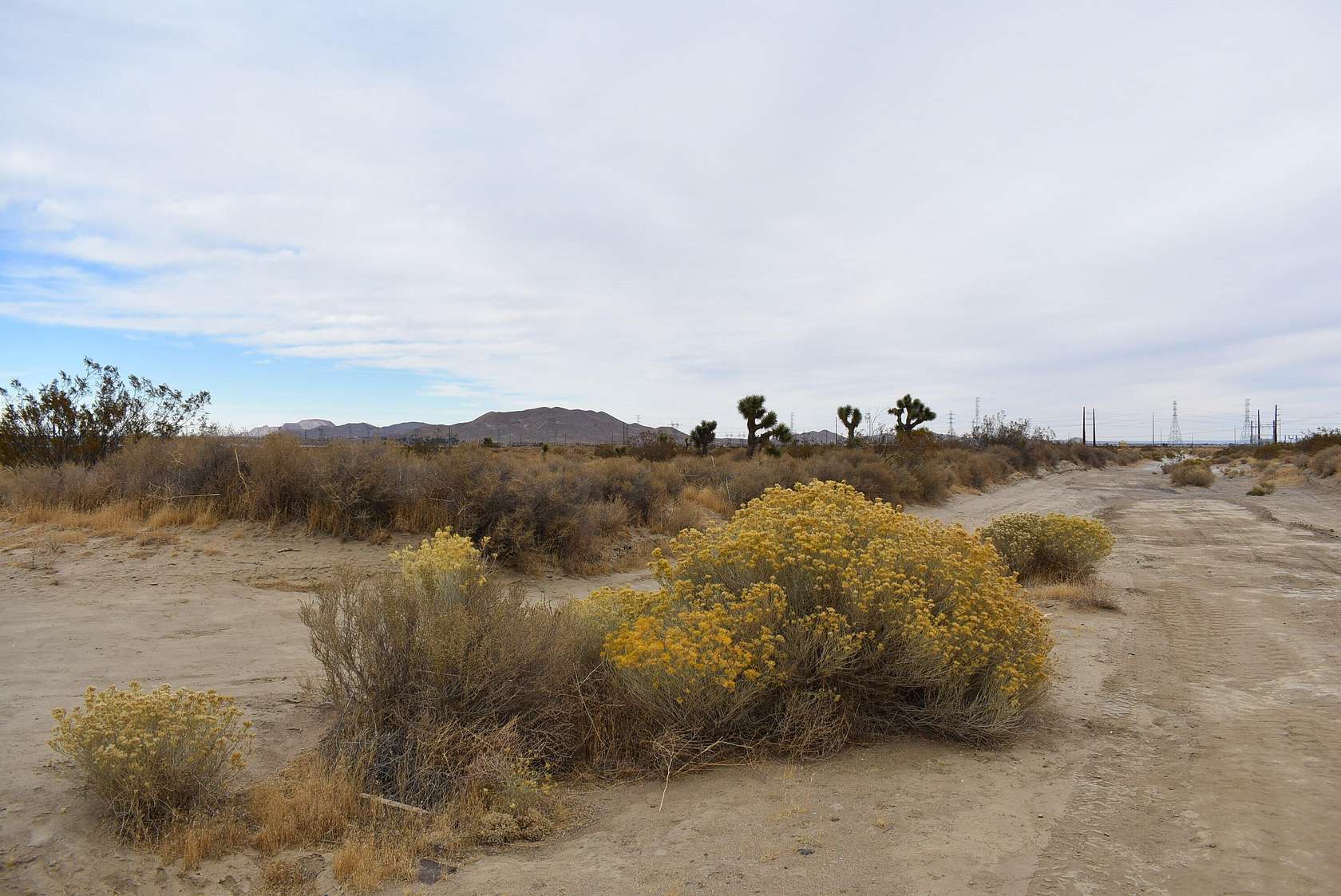 Residential Land for Sale in Rosamond, California