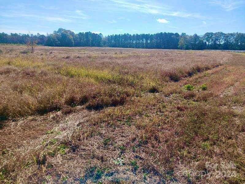 18.2 Acres of Agricultural Land for Sale in Chesterfield, South Carolina