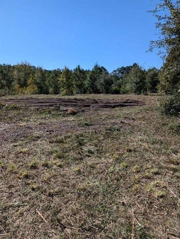 5.53 Acres of Residential Land for Sale in Townsend, Georgia