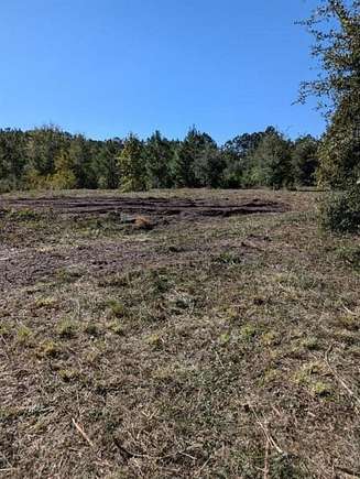 5.53 Acres of Residential Land for Sale in Townsend, Georgia