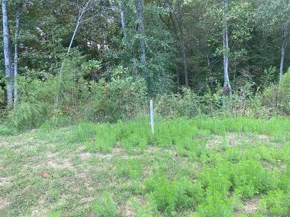 1.26 Acres of Residential Land for Sale in Auburn, Georgia