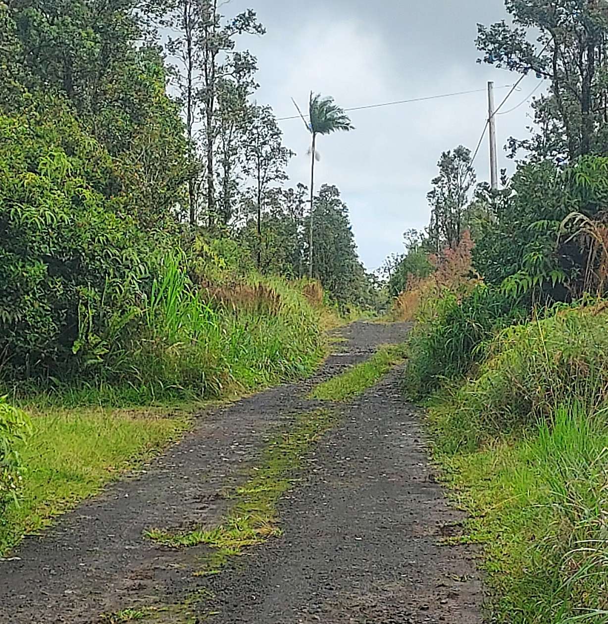 1 Acre of Residential Land for Sale in Mountain View, Hawaii