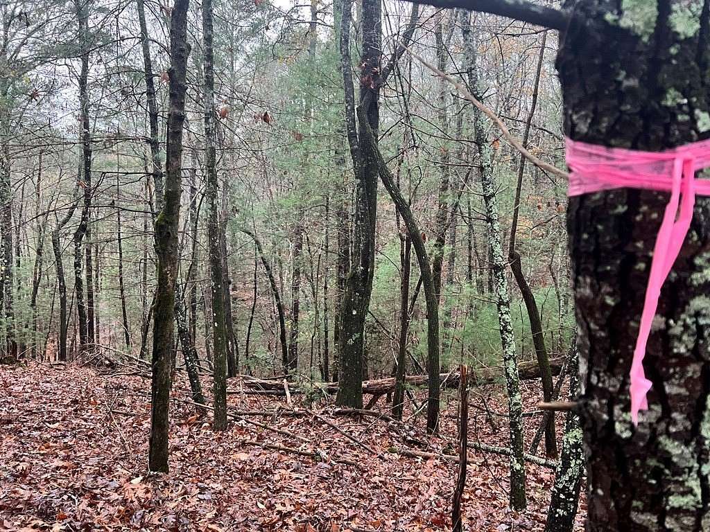 1.62 Acres of Residential Land for Sale in Ellijay, Georgia