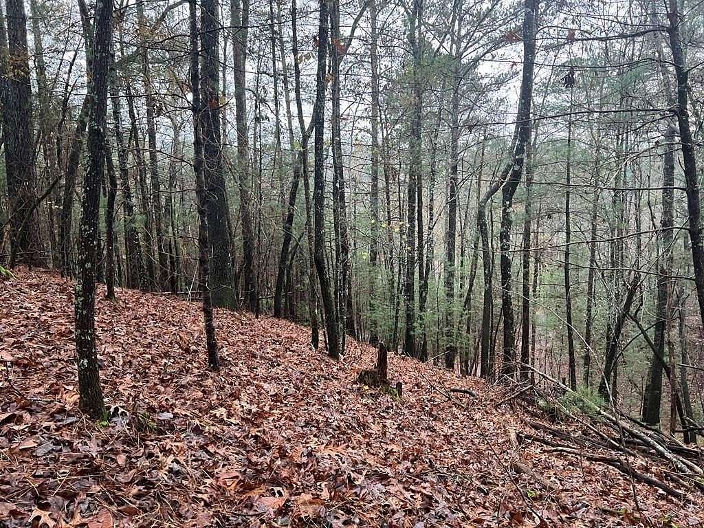 1.62 Acres of Residential Land for Sale in Ellijay, Georgia