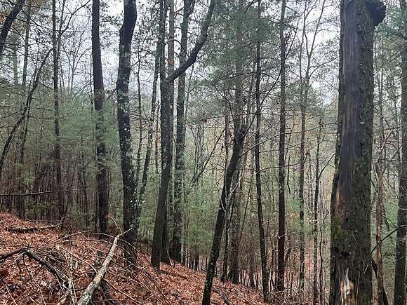 1.62 Acres of Residential Land for Sale in Ellijay, Georgia