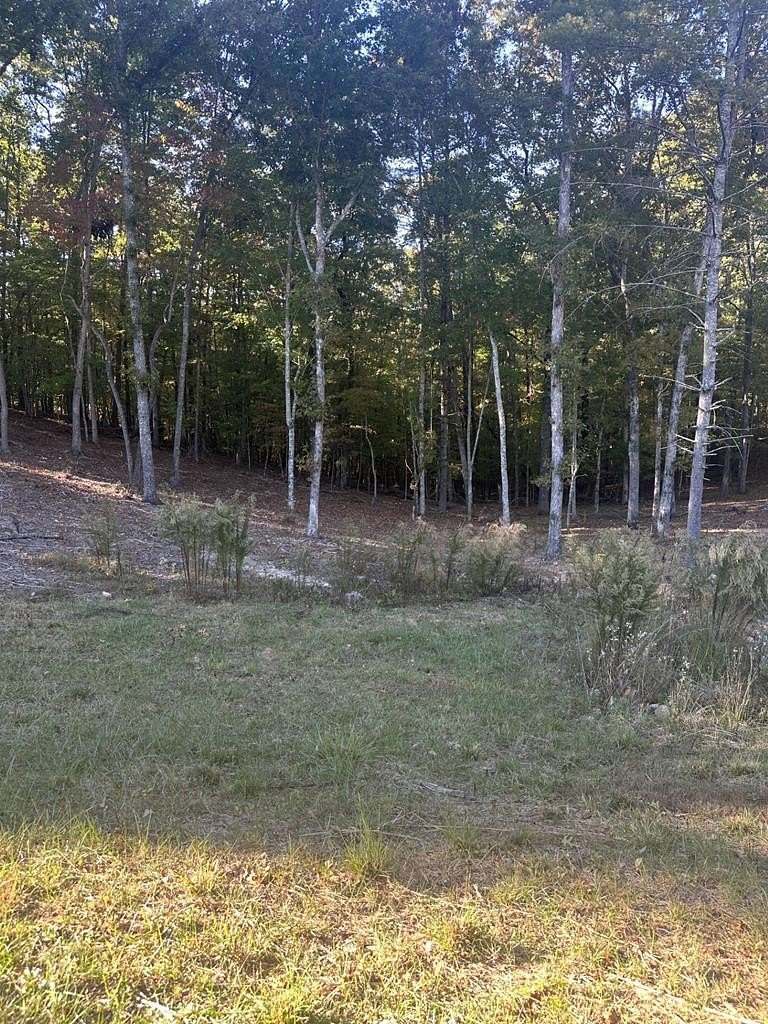 0.95 Acres of Land for Sale in Morganton, Georgia