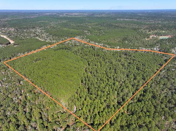 83.386 Acres of Land for Sale in Willis, Texas