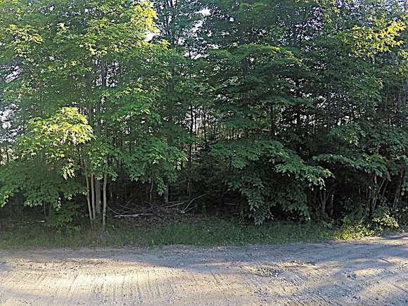 36 Acres of Land for Sale in Alton, Maine