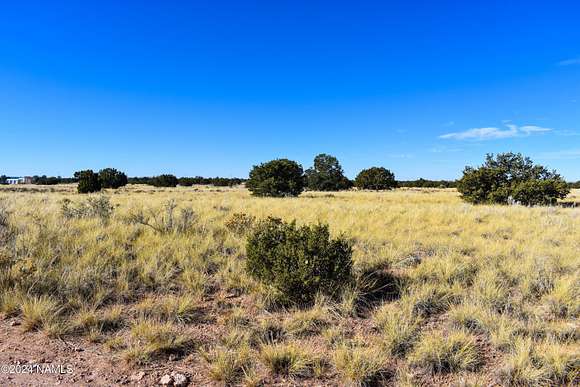 1 Acre of Residential Land for Sale in Williams, Arizona