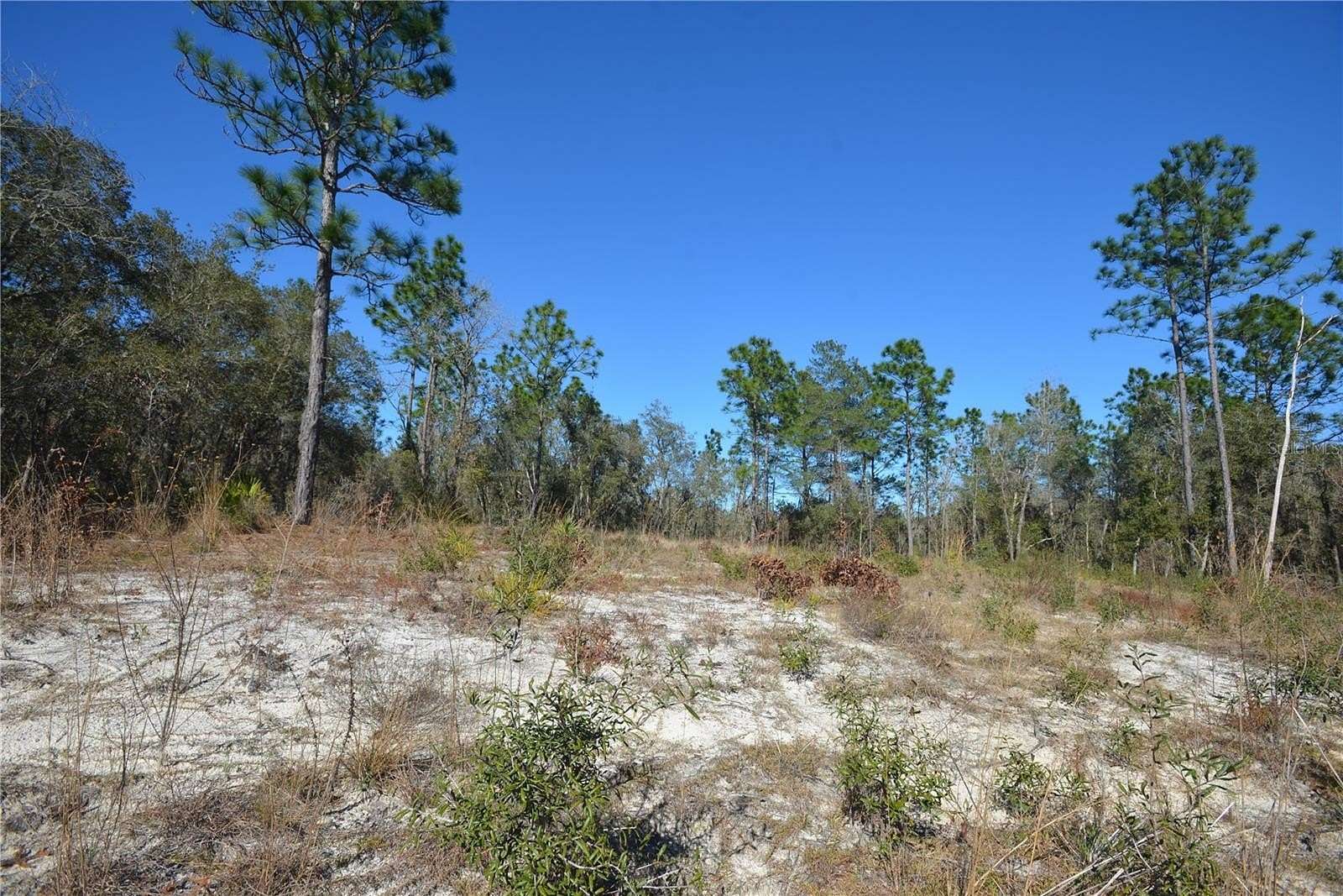 Residential Land for Sale in Ocala, Florida