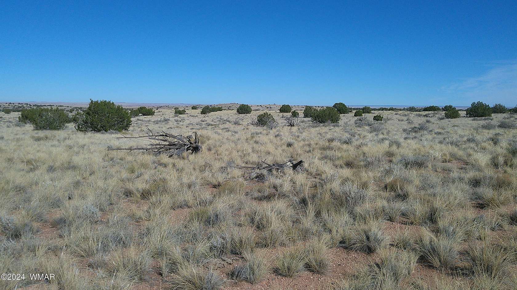 39.4 Acres of Land for Sale in Snowflake, Arizona