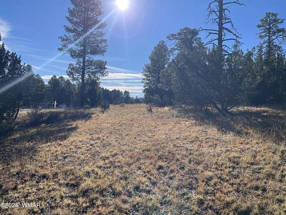 0.42 Acres of Commercial Land for Sale in Overgaard, Arizona