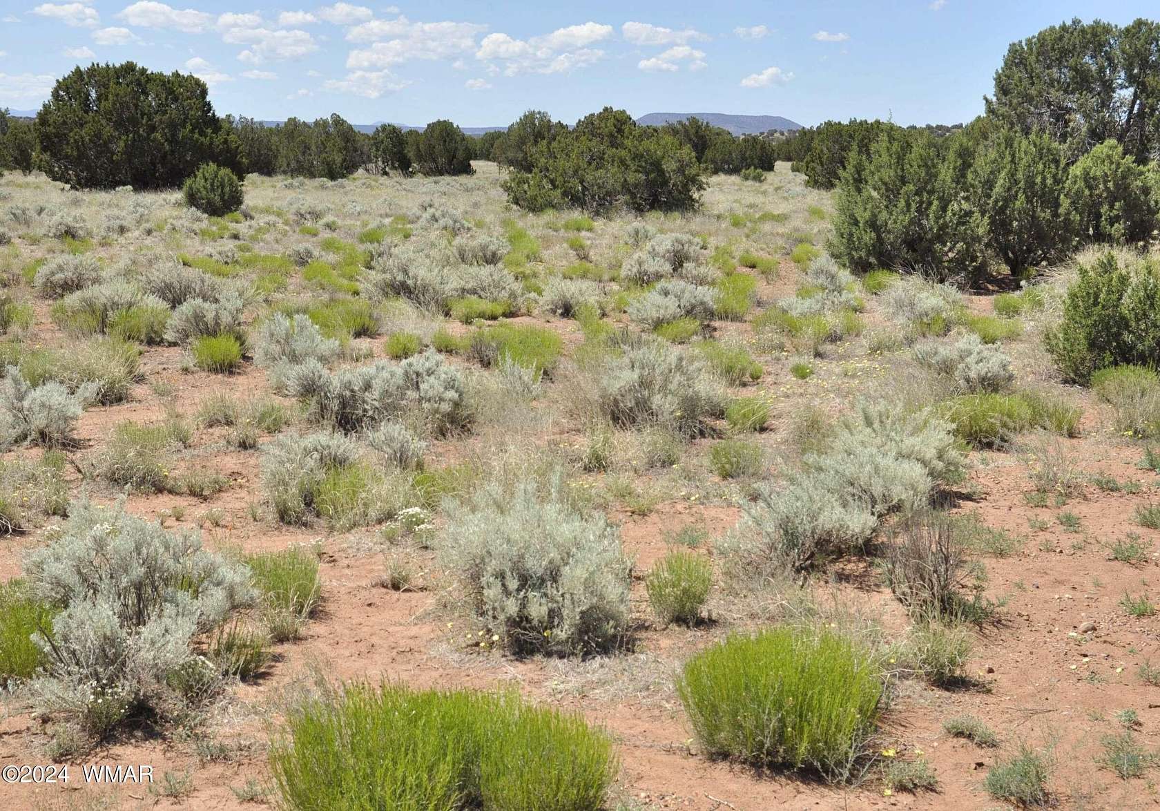 36.49 Acres of Land for Sale in Concho, Arizona