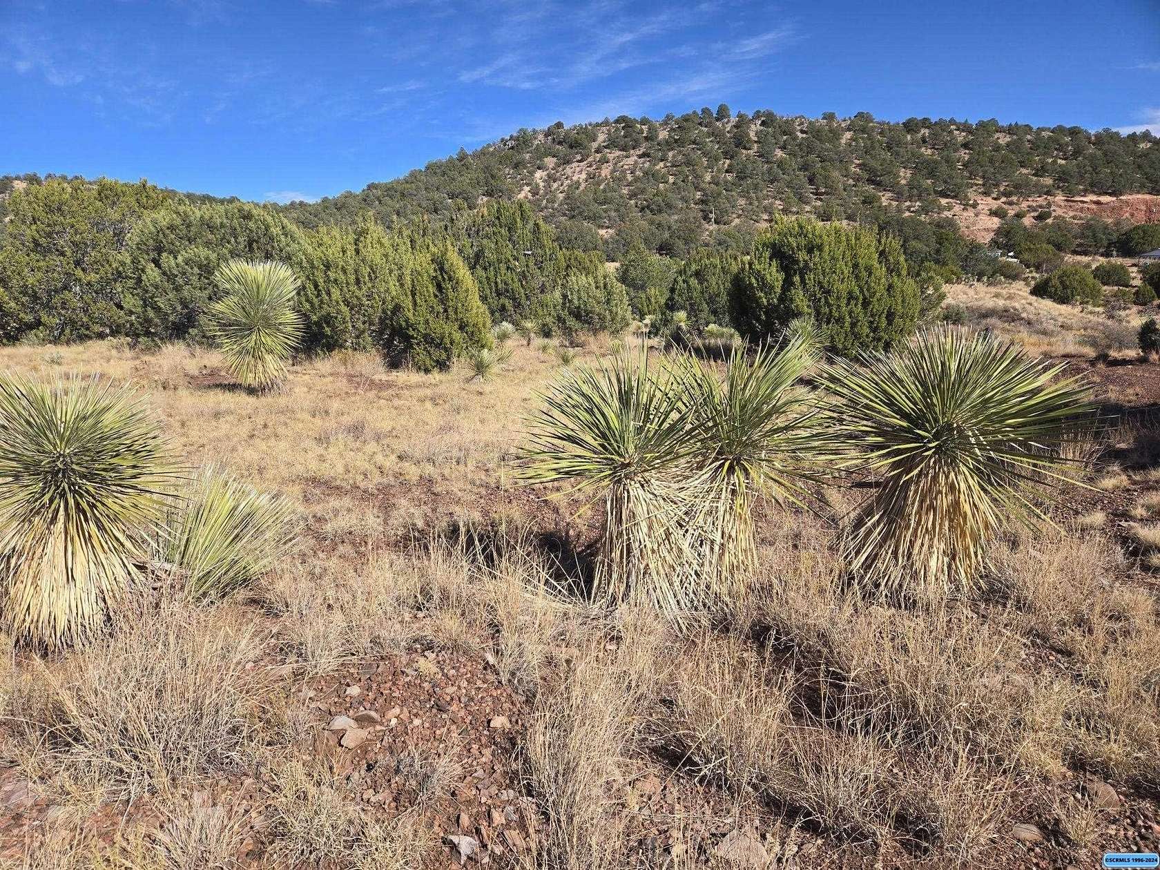 5 Acres of Residential Land for Sale in Silver City, New Mexico