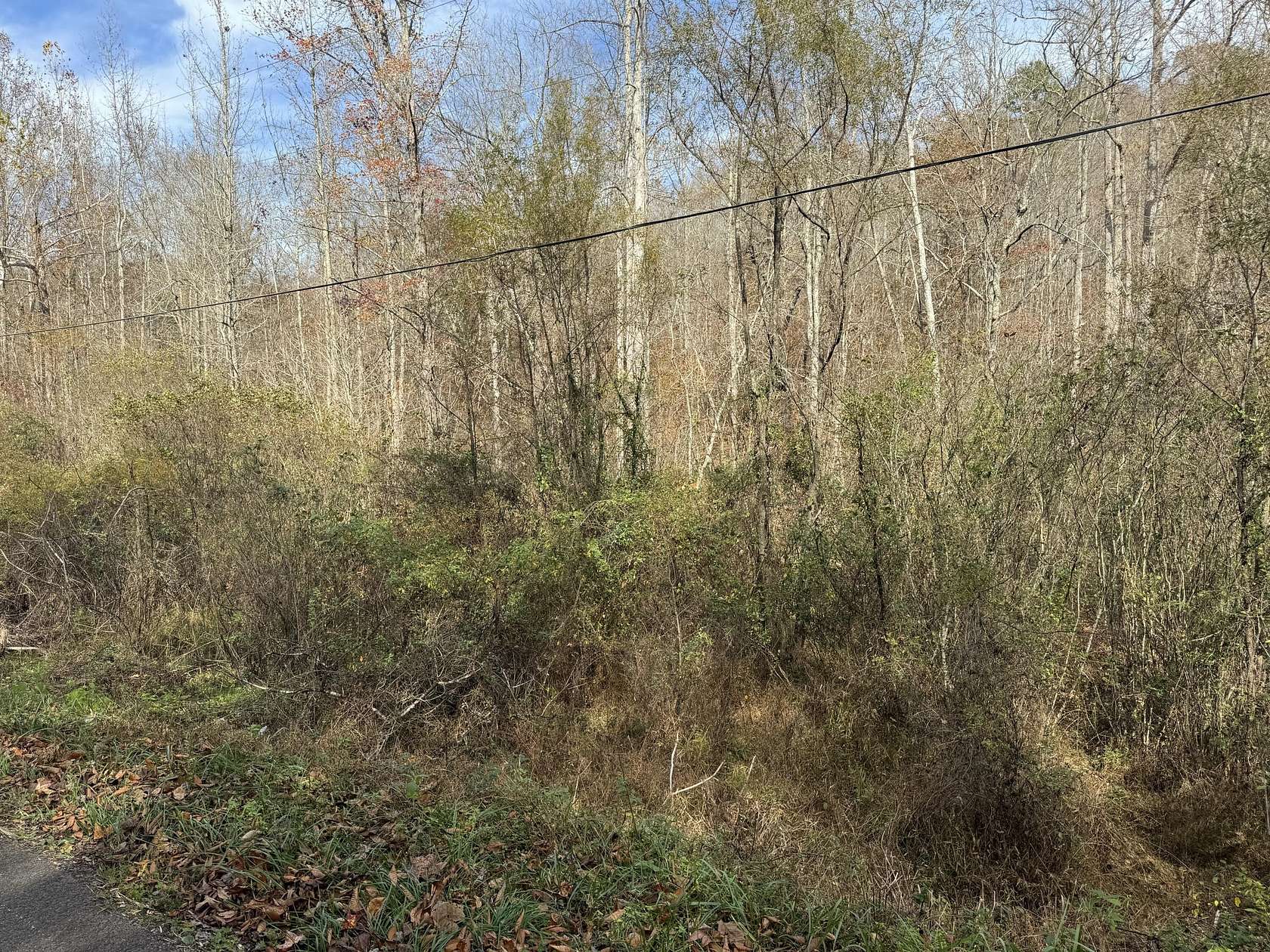 129 Acres of Land for Sale in Williamsburg, Kentucky