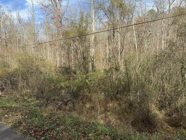 129 Acres of Land for Sale in Williamsburg, Kentucky