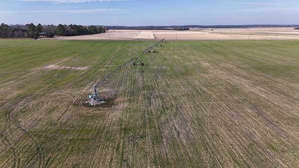 900 Acres of Land for Sale in Sumter, South Carolina