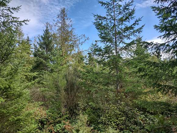 16.03 Acres of Recreational Land for Sale in Port Angeles, Washington