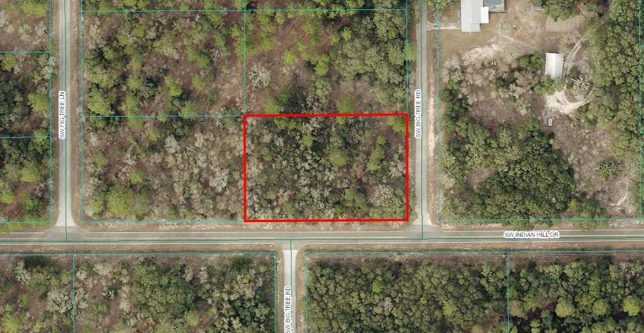 0.99 Acres of Residential Land for Sale in Dunnellon, Florida