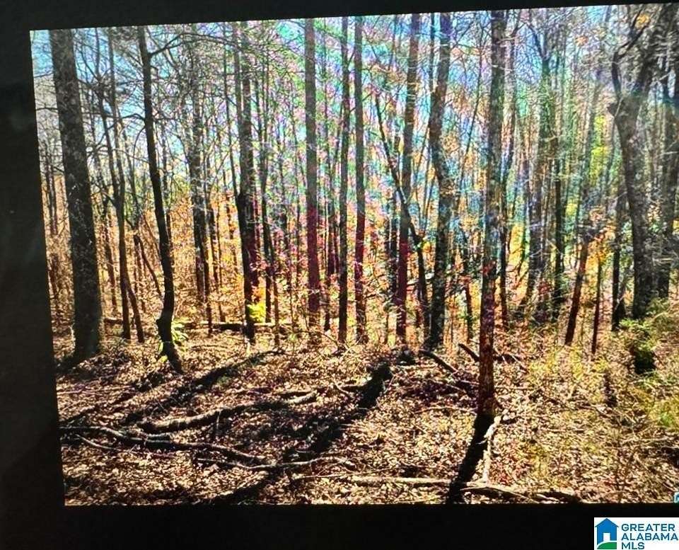 2.75 Acres of Residential Land for Sale in Anniston, Alabama