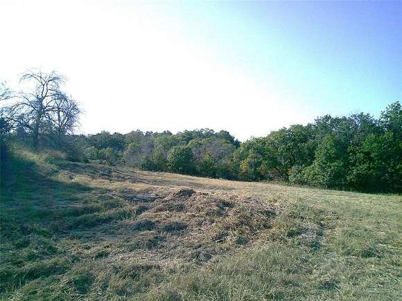 31 Acres of Agricultural Land for Sale in Paradise, Texas