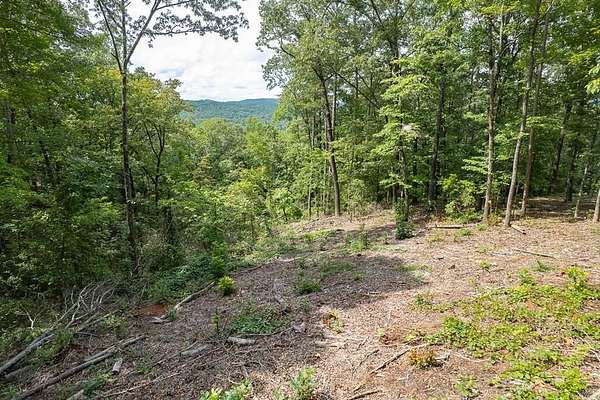 5.5 Acres of Residential Land for Sale in Talking Rock, Georgia