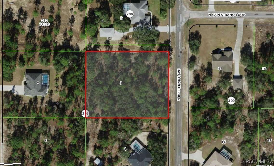 1.15 Acres of Land for Sale in Beverly Hills, Florida