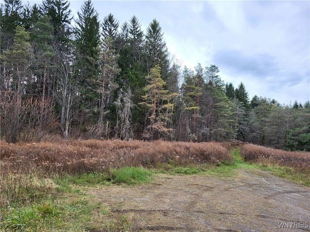 48.25 Acres of Recreational Land for Sale in Ellicottville, New York