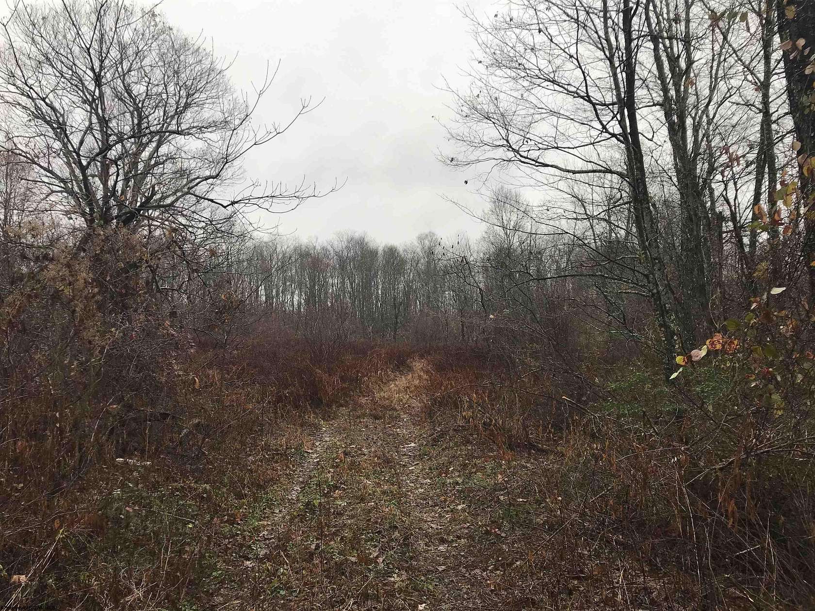 12.6 Acres of Land for Sale in Tunnelton, West Virginia