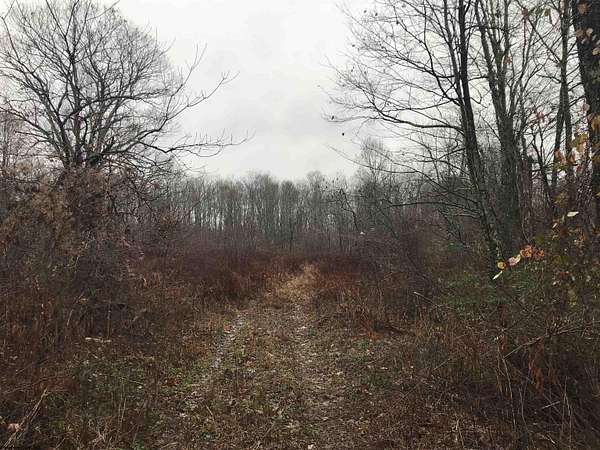 12.6 Acres of Land for Sale in Tunnelton, West Virginia
