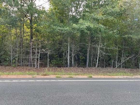 8 Acres of Residential Land for Sale in Manning, South Carolina