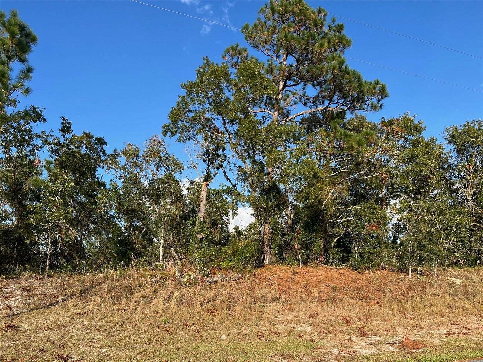 0.5 Acres of Residential Land for Sale in Spring Hill, Florida