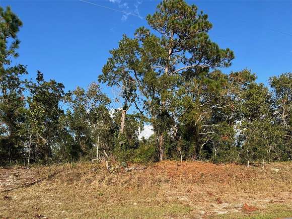 0.5 Acres of Residential Land for Sale in Spring Hill, Florida