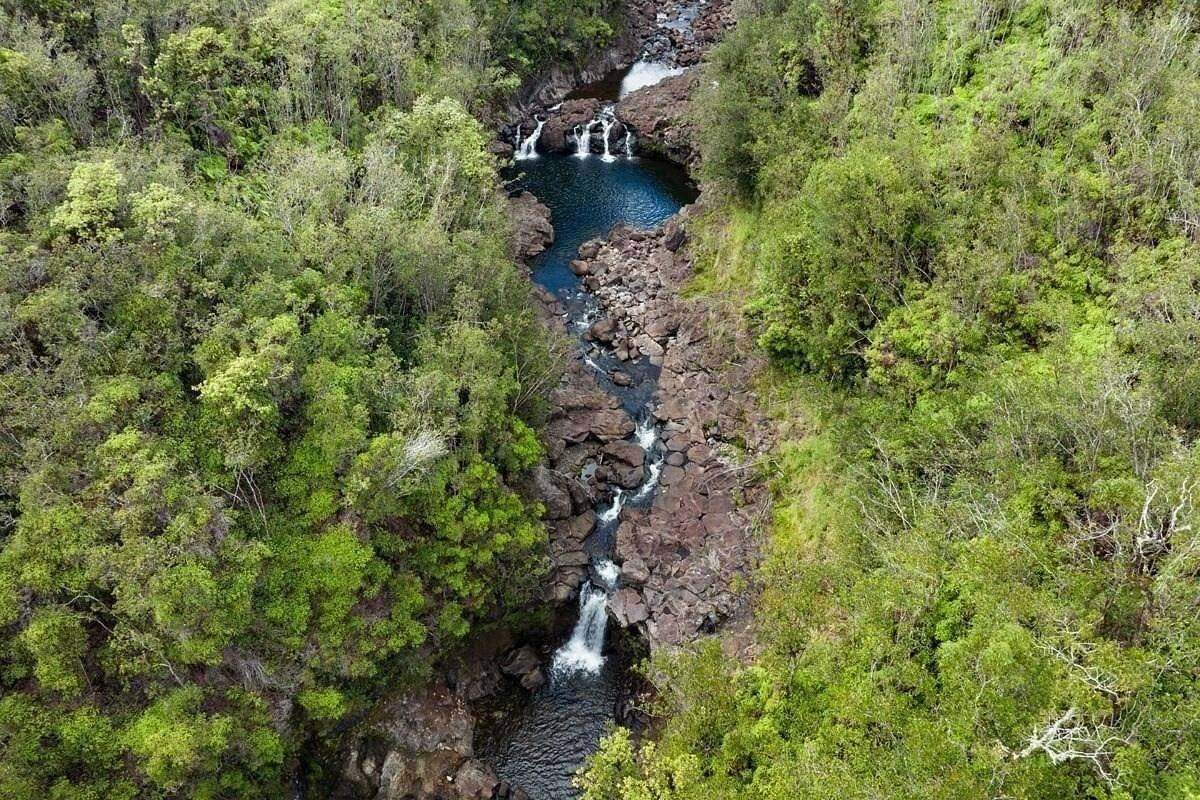 337.208 Acres of Agricultural Land for Sale in Papaikou, Hawaii