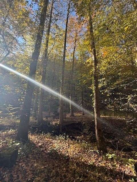 10 Acres of Recreational Land for Sale in Ellijay, Georgia