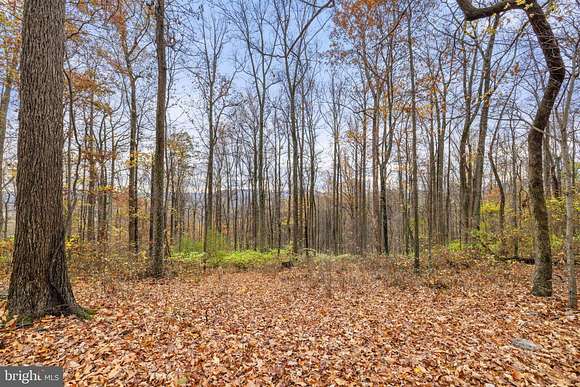 25 Acres of Recreational Land for Sale in Huntly, Virginia