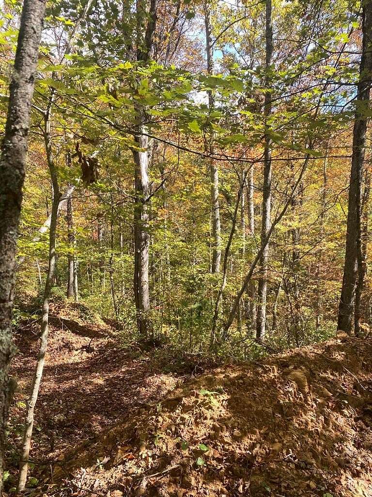 1.1 Acres of Residential Land for Sale in Sylva, North Carolina