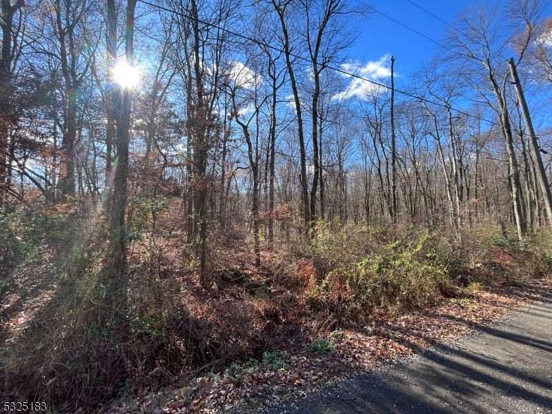 3.74 Acres of Land for Sale in Bethlehem Township, New Jersey