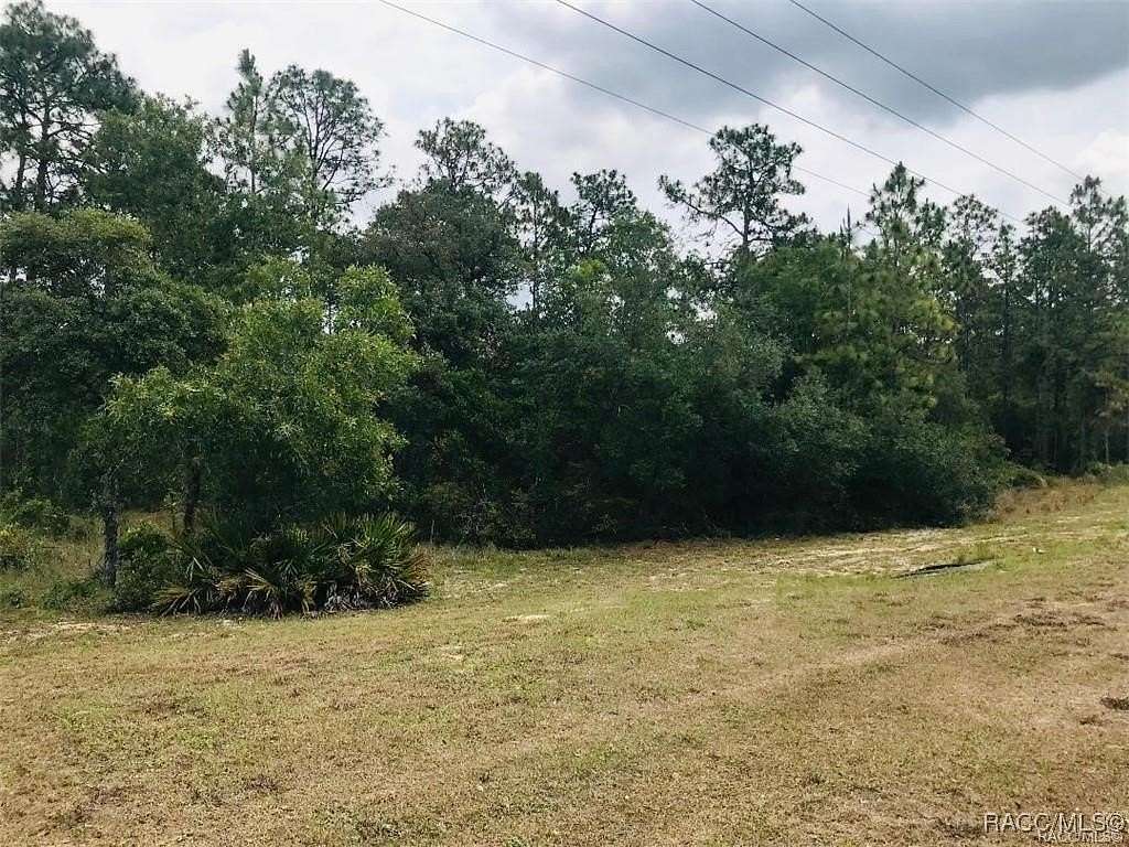 9.83 Acres of Residential Land for Sale in Dunnellon, Florida