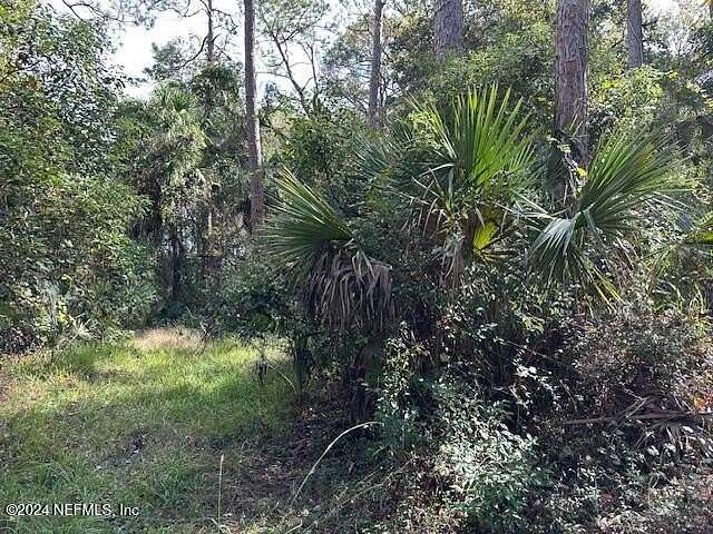 1.38 Acres of Residential Land for Sale in Welaka, Florida