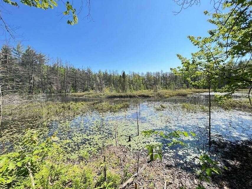 10 Acres of Recreational Land for Sale in Gaylord, Michigan