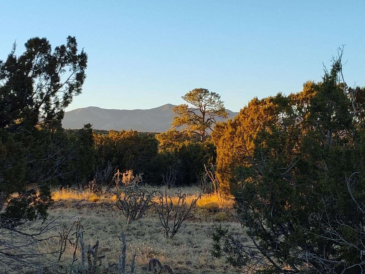 47.33 Acres of Land for Sale in Mountainair, New Mexico