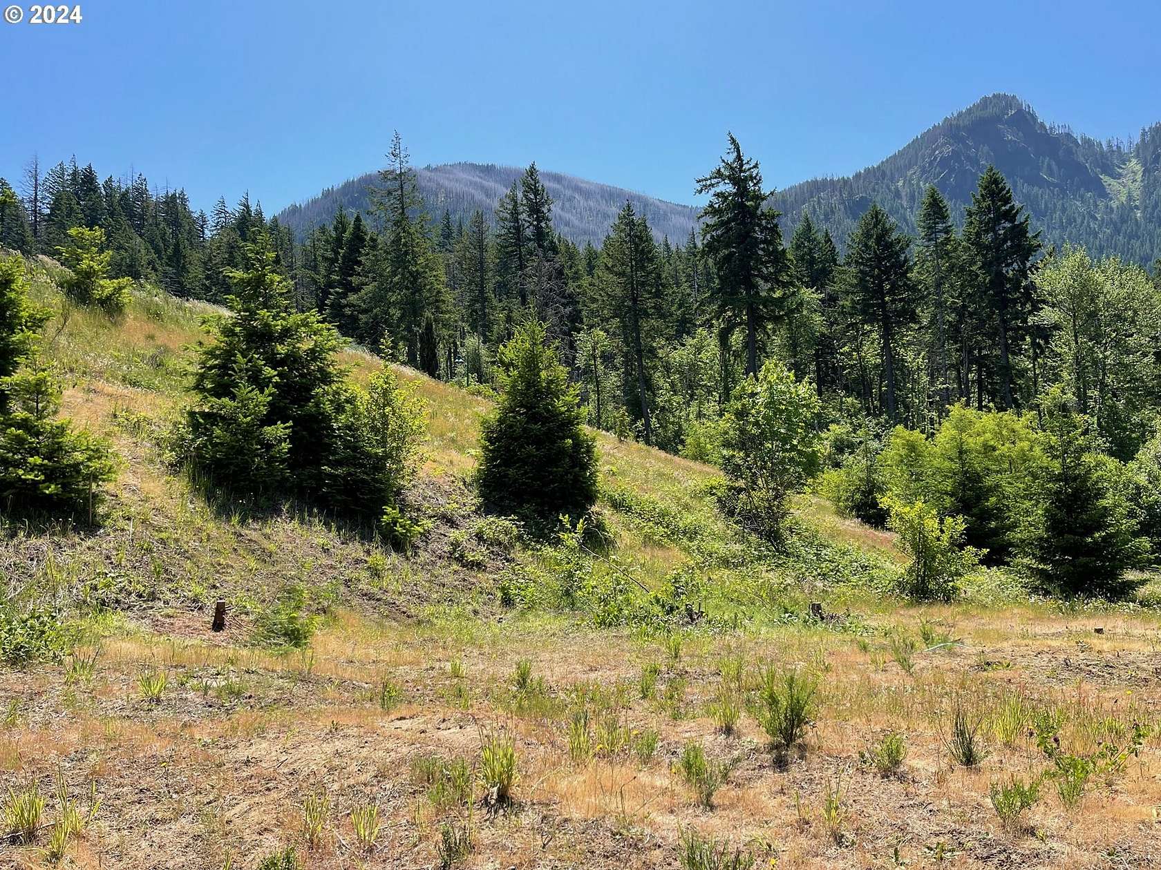 Residential Land for Sale in Cascade Locks, Oregon