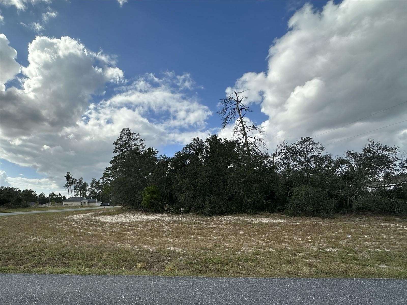 0.33 Acres of Residential Land for Sale in Ocala, Florida