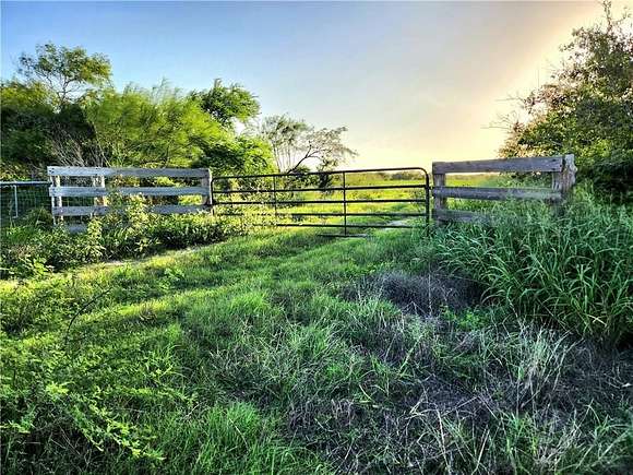 147.58 Acres of Recreational Land & Farm for Sale in Bishop, Texas