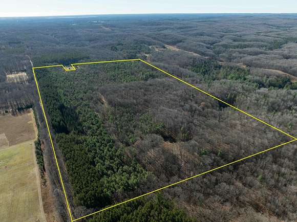 76.41 Acres of Recreational Land for Sale in Manton, Michigan