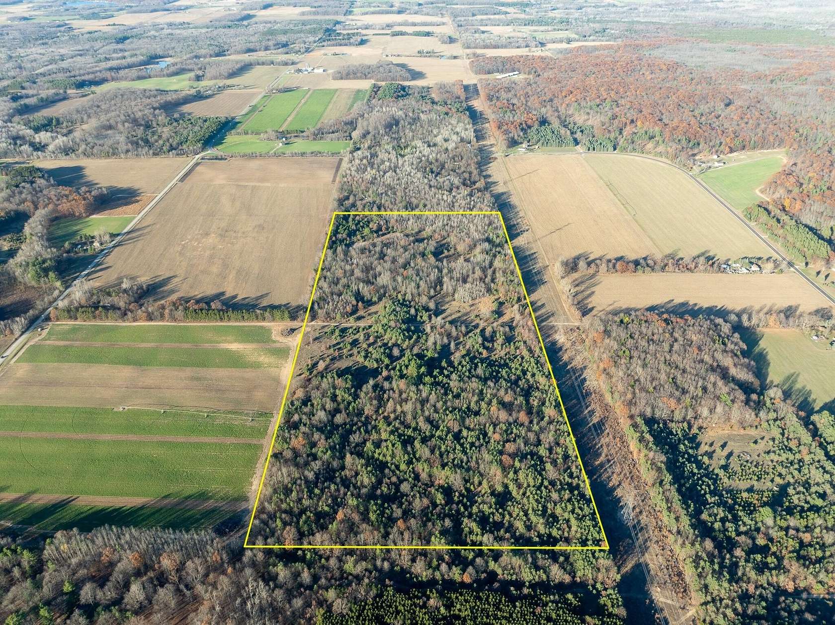 62.22 Acres of Recreational Land & Farm for Sale in Hart, Michigan